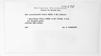 Image Associated With the Occurrence